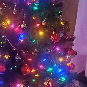 Meet your Posher, Anika